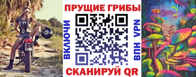 Галлюциногенные грибы мухоморы Бокситогорск